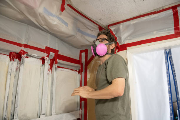 Professional Mold Inspection, Removal & Remediation in North Key Largo, FL